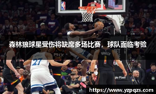 NG娱乐游戏官网