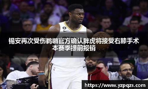 NG娱乐官网
