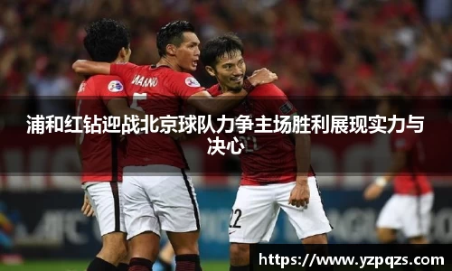 NG娱乐官网